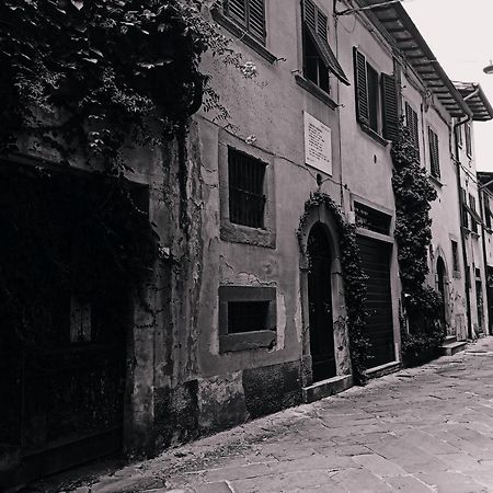 Dimora Coccapani Διαμέρισμα Πίζα Εξωτερικό φωτογραφία